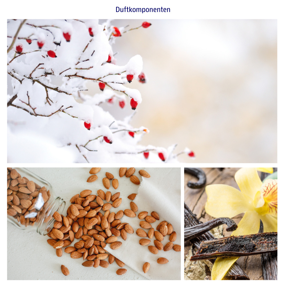 Abbildung der Duftkomponenten Winterbeere, Mandel und Vanille