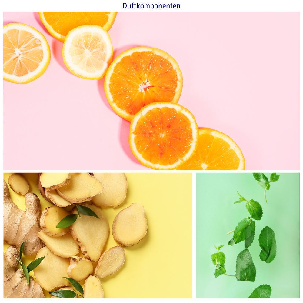 Abbildungen der einzelnen Duftkomponenten: Orangen, Ingwer und Minze