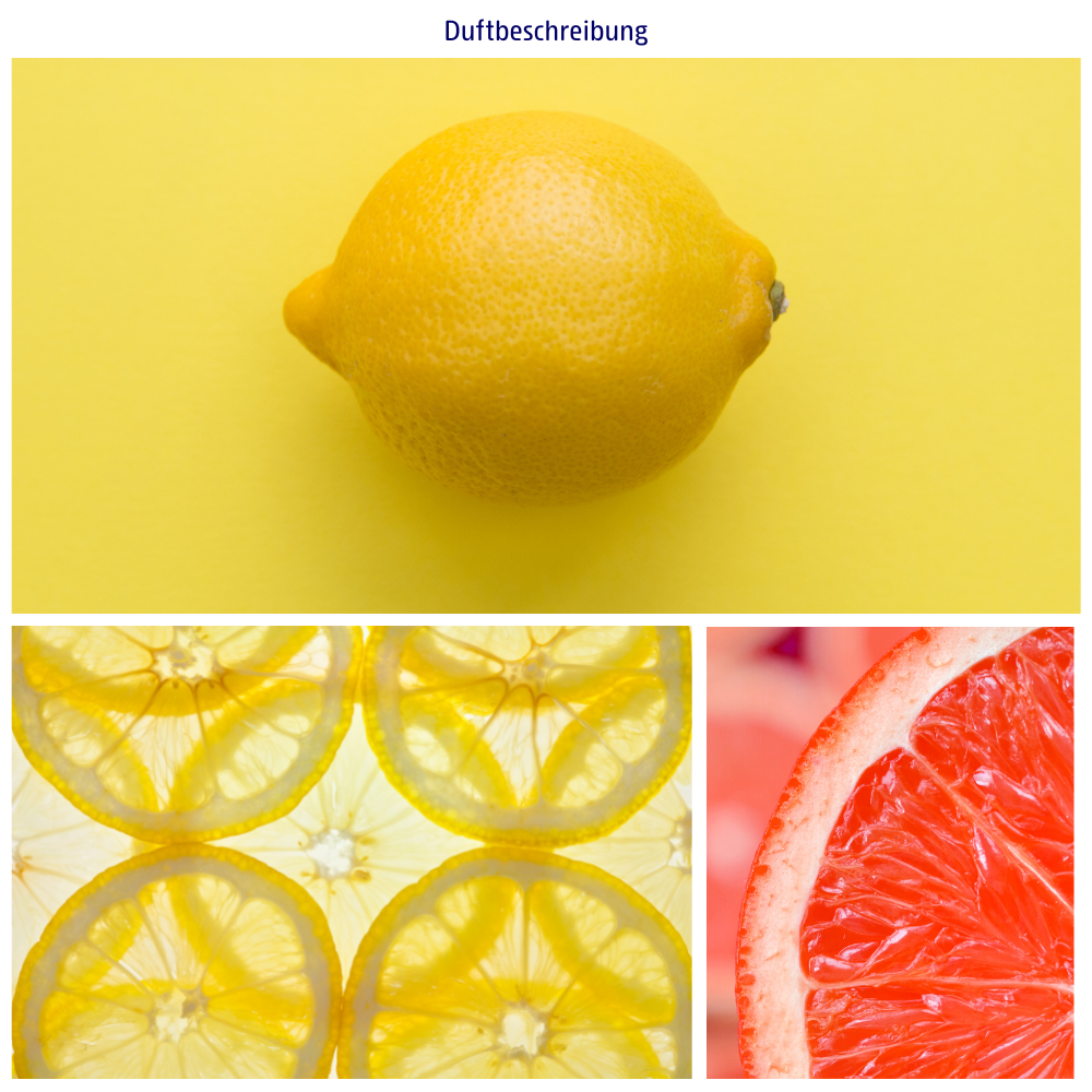 Abbildungen der Duftkomponenten: Limette, Grapefruit und Zitrone