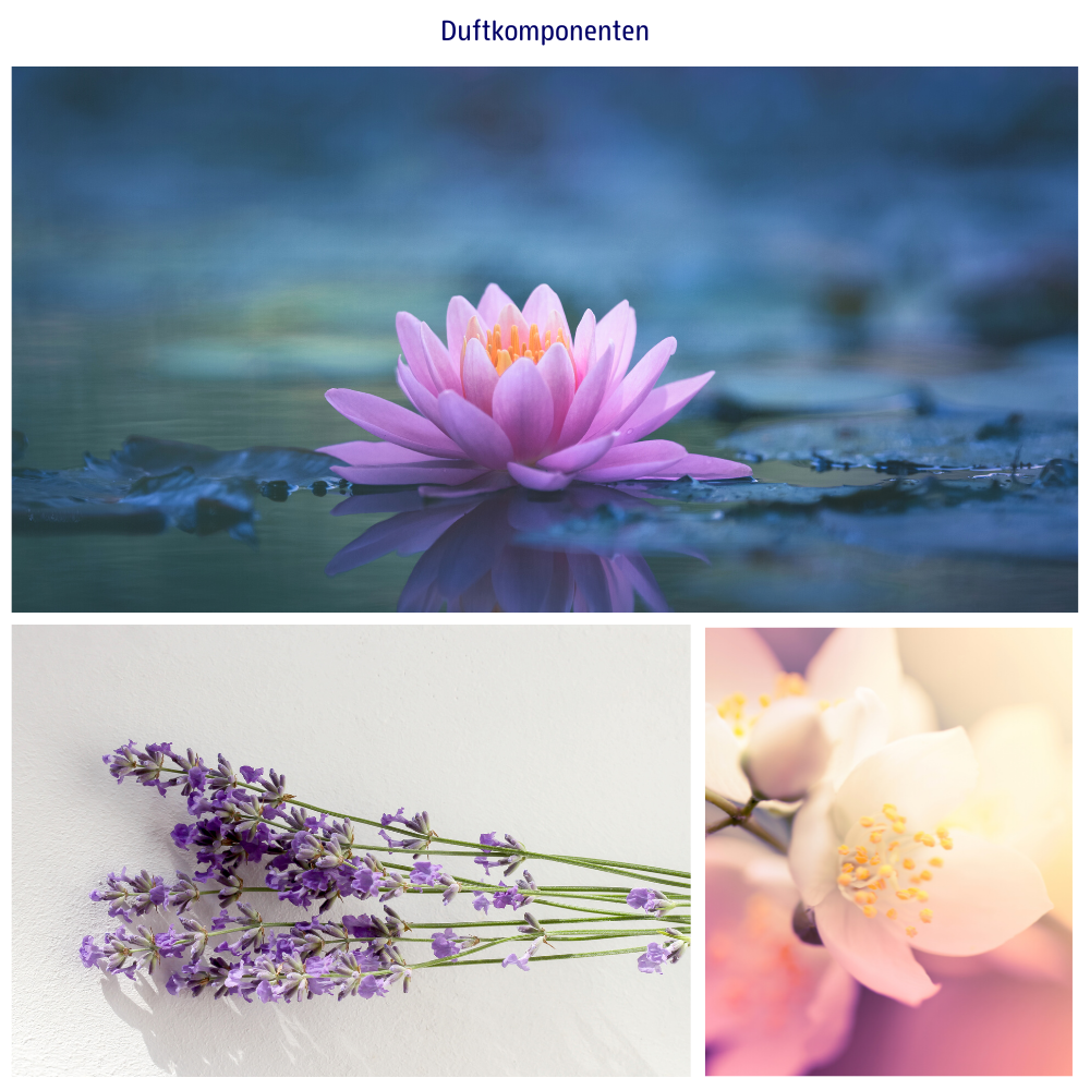 Abbildungen der Duftkomponenten: Lotus, Jasmin und Lavendel