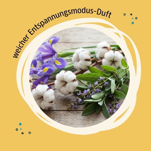 Abbildungen der Duftkomponenten Iris, Baumwollblüte und Salbei