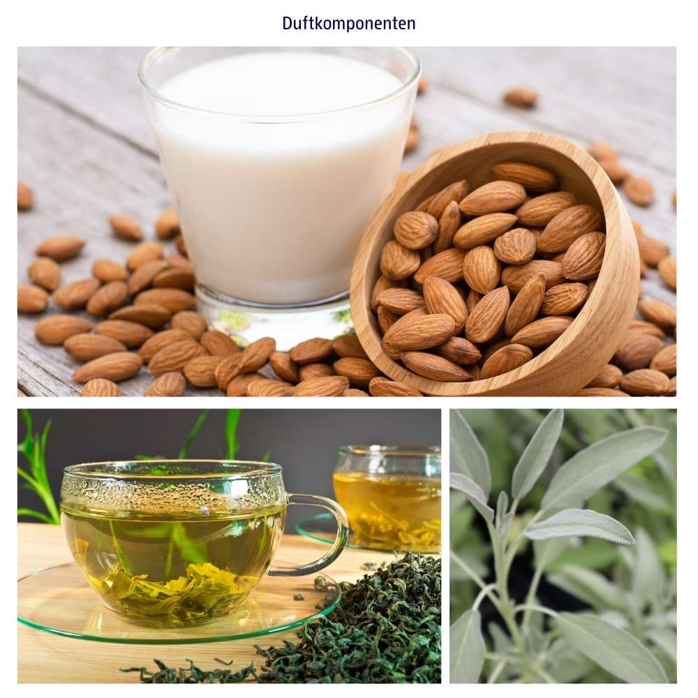Abbildung der einzelnen Duftkomponenten Salbei, Grüner Tee und Mandelmilch