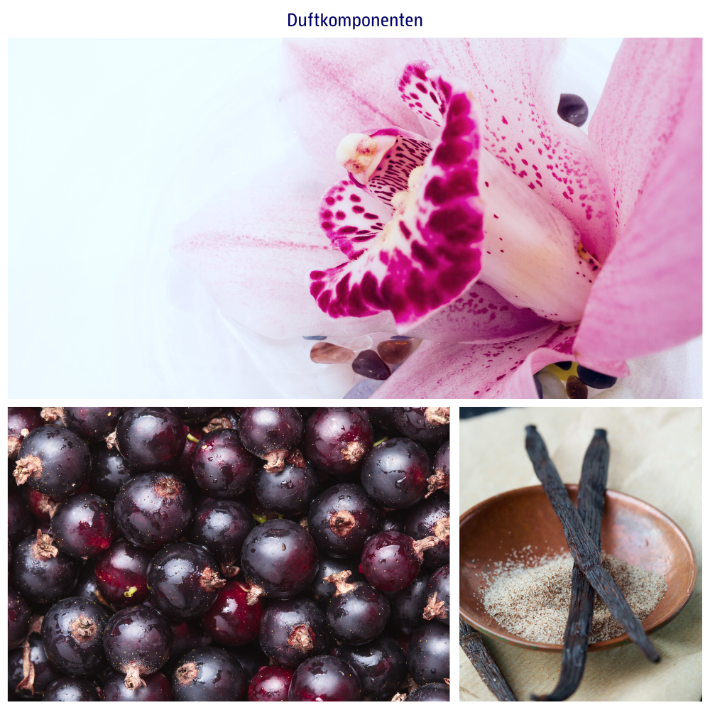 Abbildungen der Duftkomponenten: Orchidee, Vanille und Cassis