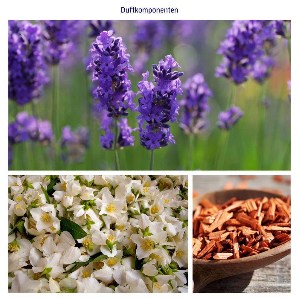 Abbildungen der Duftkomponenten: Weiße Blüten, Lavendel & Sandelholz