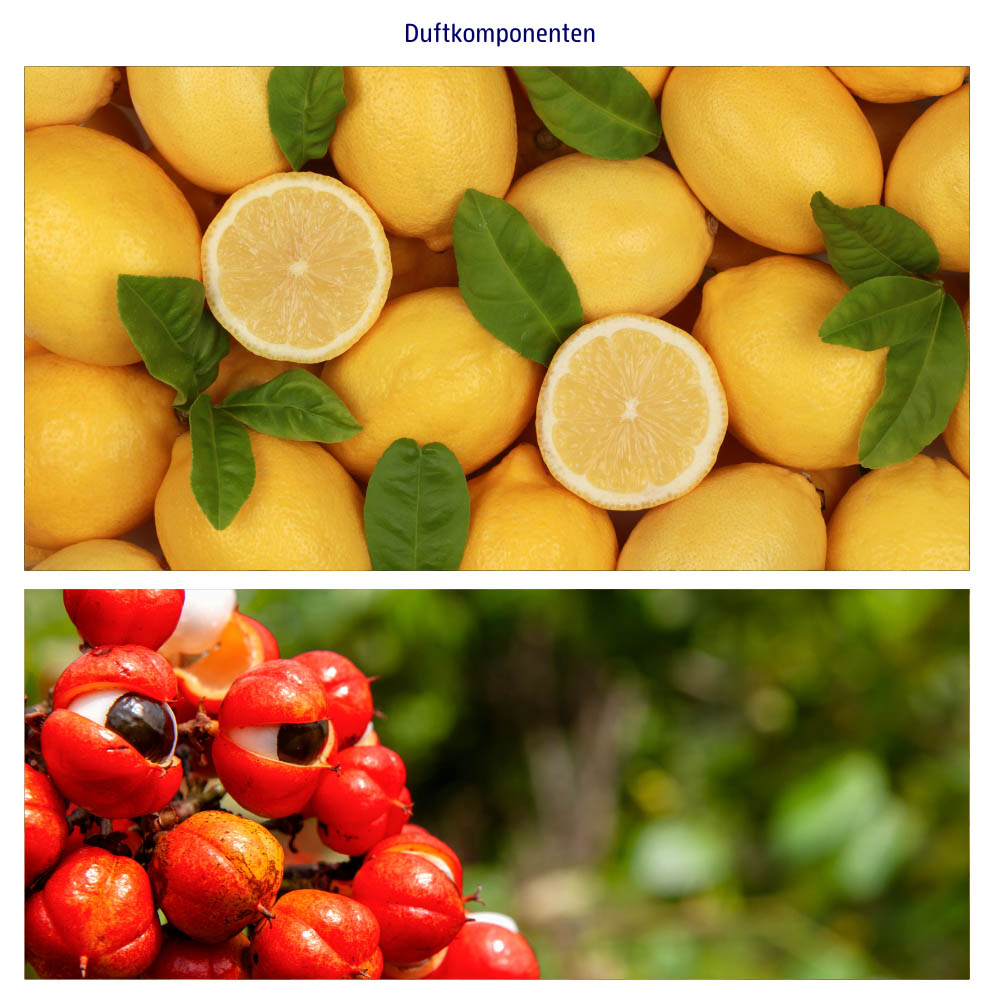 Abbildungen der Duftkomponenten: Zitronen und Guarana