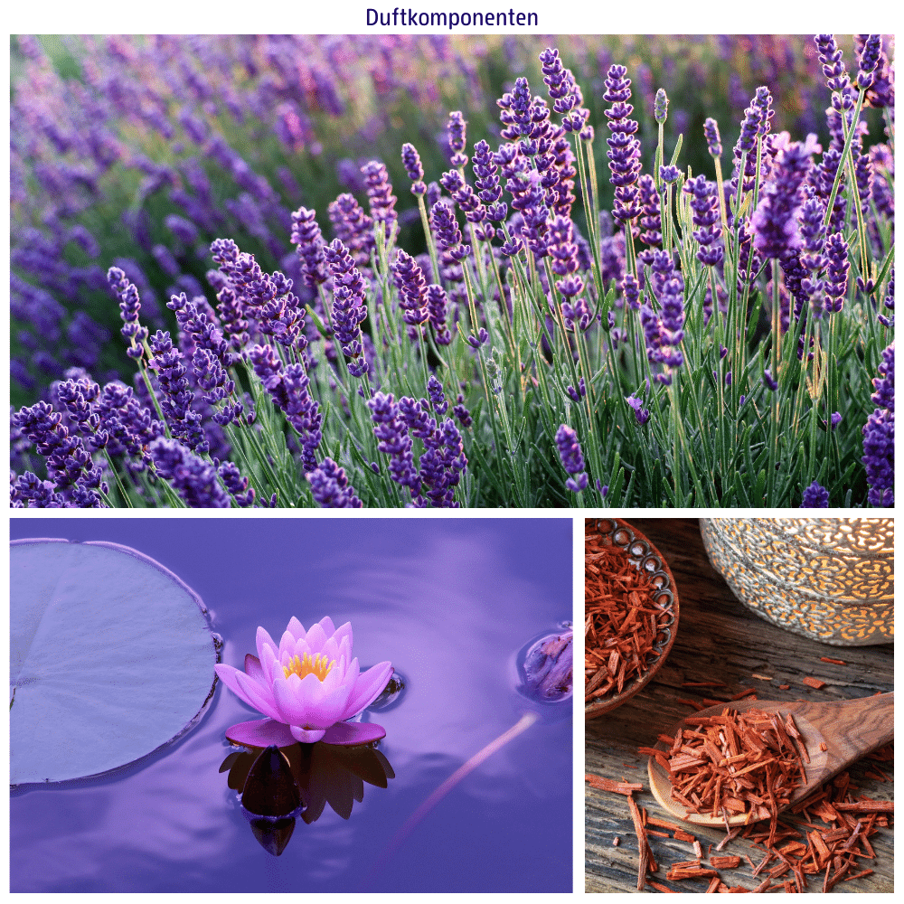Abbildungen der Duftkomponenten: Lavendel, Lotus und Sandelholz