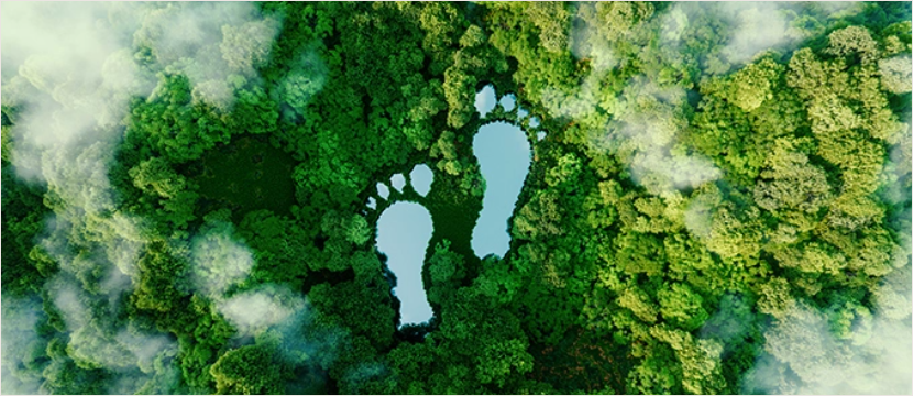 Luftaufnahme auf einen grossen Wald; in der Mitte sind zwei grosse Fussabdruecke abgebildet