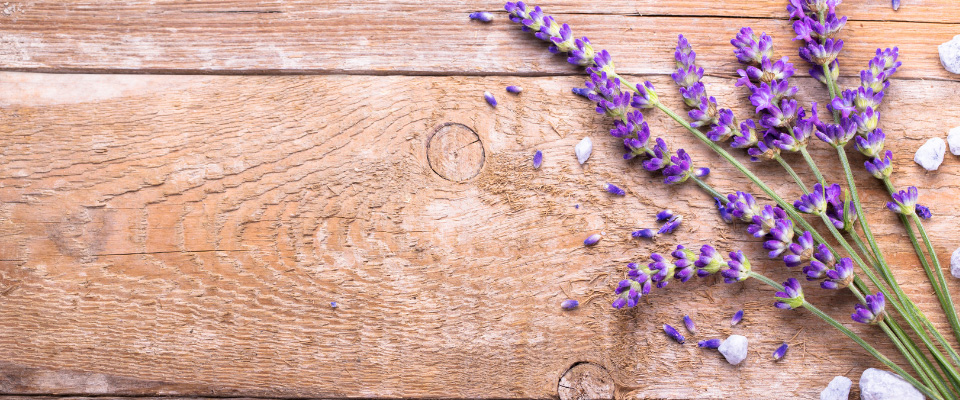 Nahaufnahme eines Lavendelzweiges, der auf einem holzigen Untergrund liegt