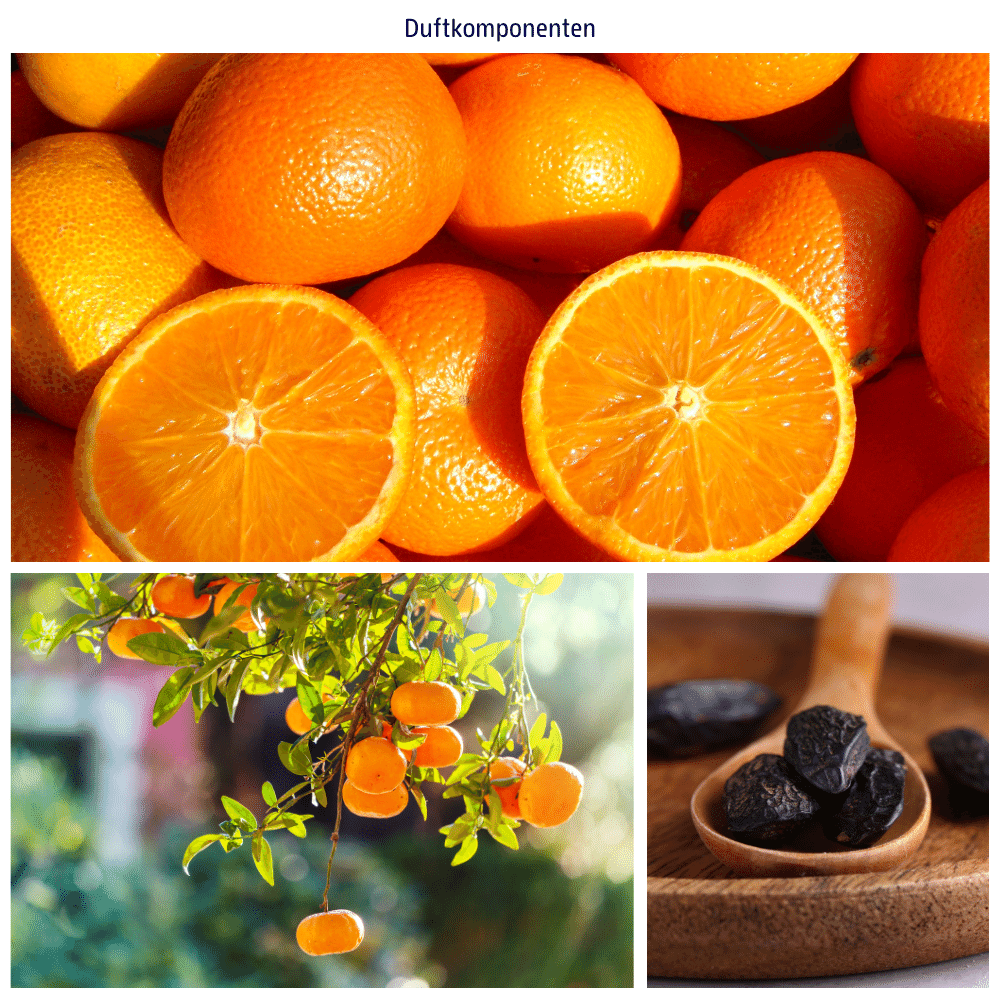 Abbildungen der Duftkomponenten: Mandarine, Orange und Tonka
