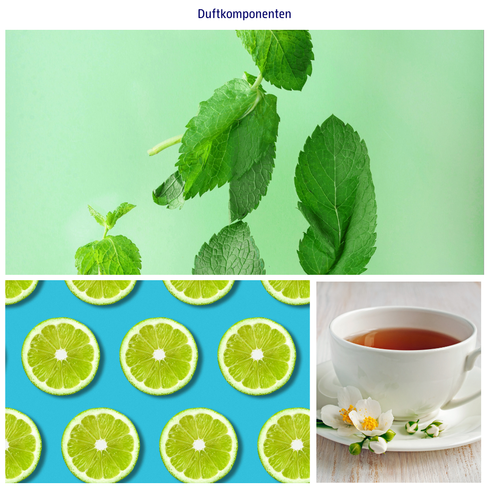 Abbildungen der Duftkomponenten: Limette, Minze und weisser Tee