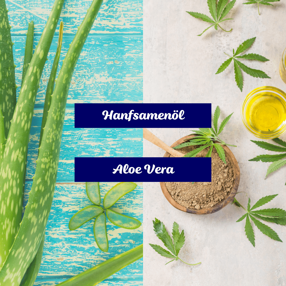 Feuchtigkeitsshampoo mit Aloe Vera und Hanf