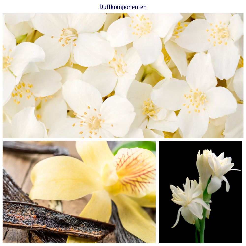 Duft nach Ylang-Ylang-, Palamrosa- und Amyrisoel sowie Vanille-Extrakt