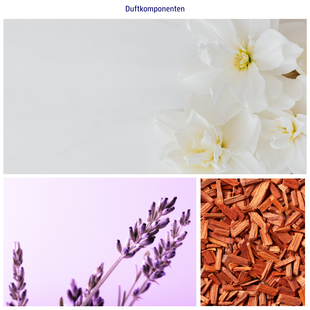 Abbildungen der Duftkomponenten; Weisse Blueten, Lavendel und Sandelholz