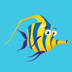 Abbildung Henry Halfterfisch