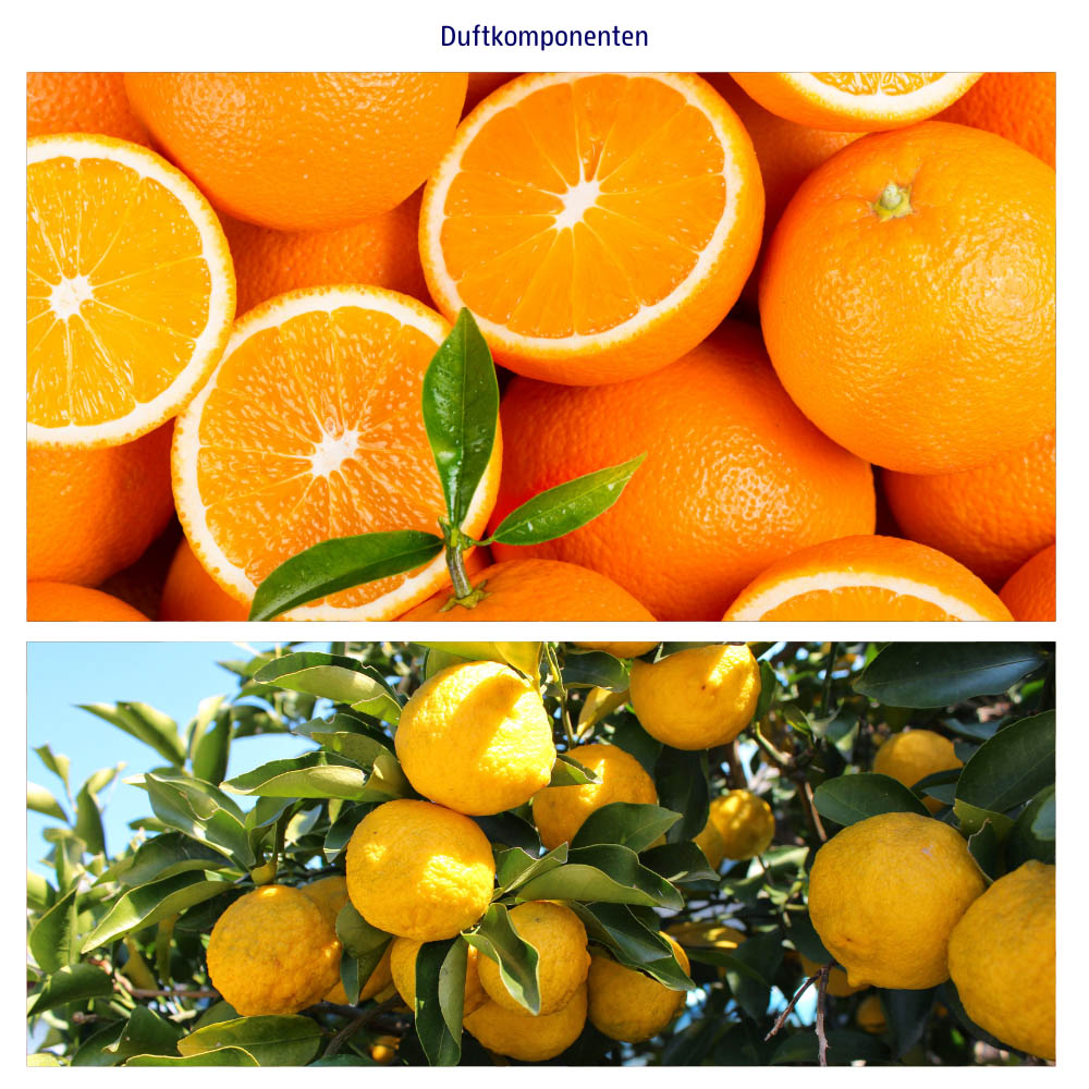 Abbildung der einzelnen Duftkomponenten Orange und Yuzu