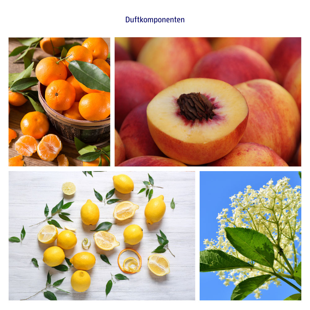 Abbildungen der Duftkomponenten: Mandarine, Pfirsich, Zitrone & Holunder