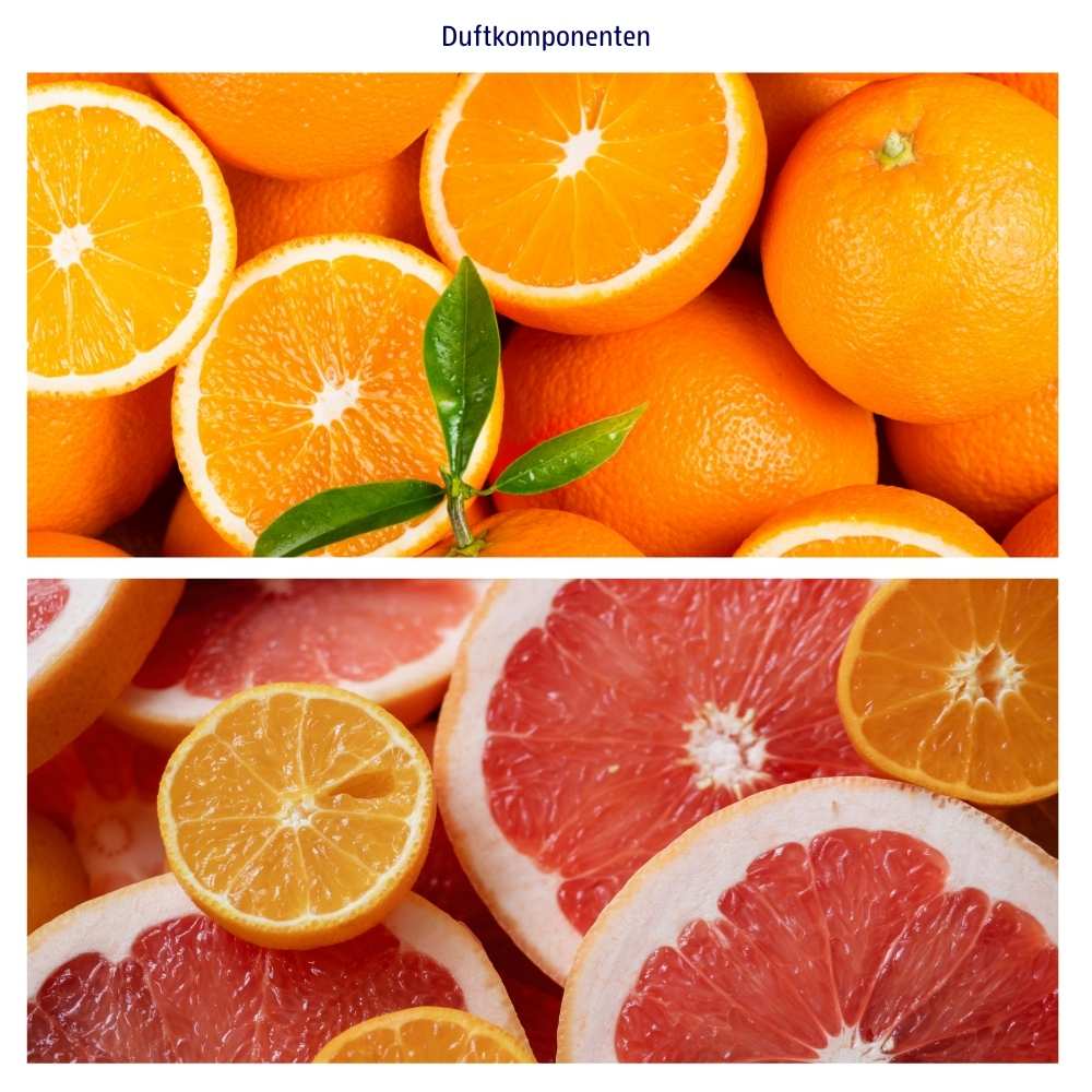 Abbildung der einzelnen Duftkomponenten Orange und Grapefruit 