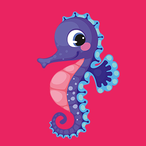 Abbidlung Stella Seepferdchen