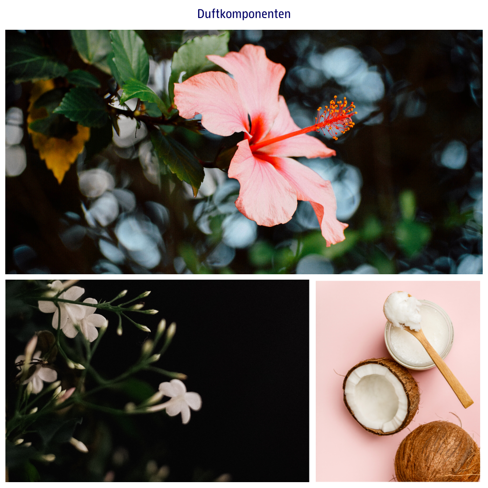 Abbildungen der Duftkomponenten: Kokos, Hibiskus und Jasmin