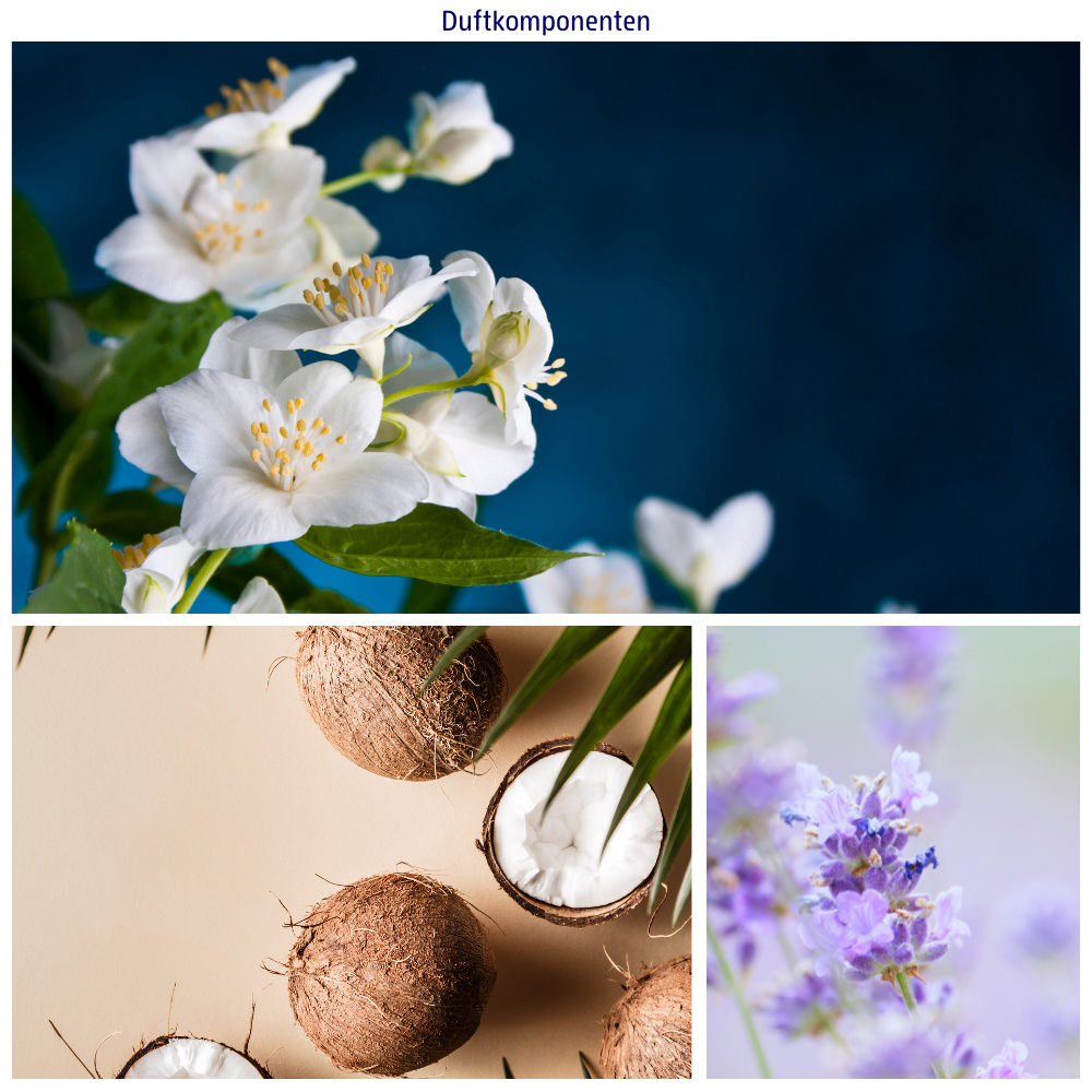 Abbildungen der Duftkomponenten: Kokosnuss, Lavendel und Jasmin