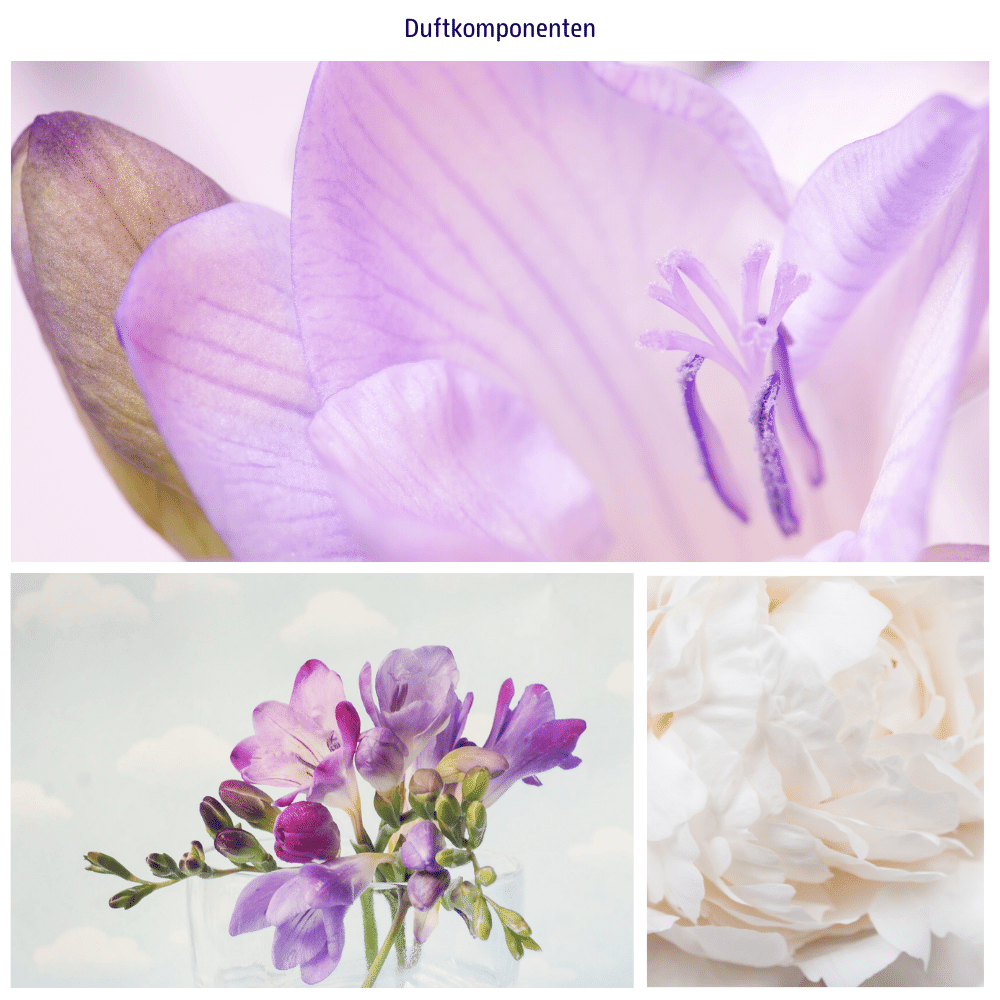 "statt Blumen" zaubert ein zart-florales Aroma in dein Badezimmer