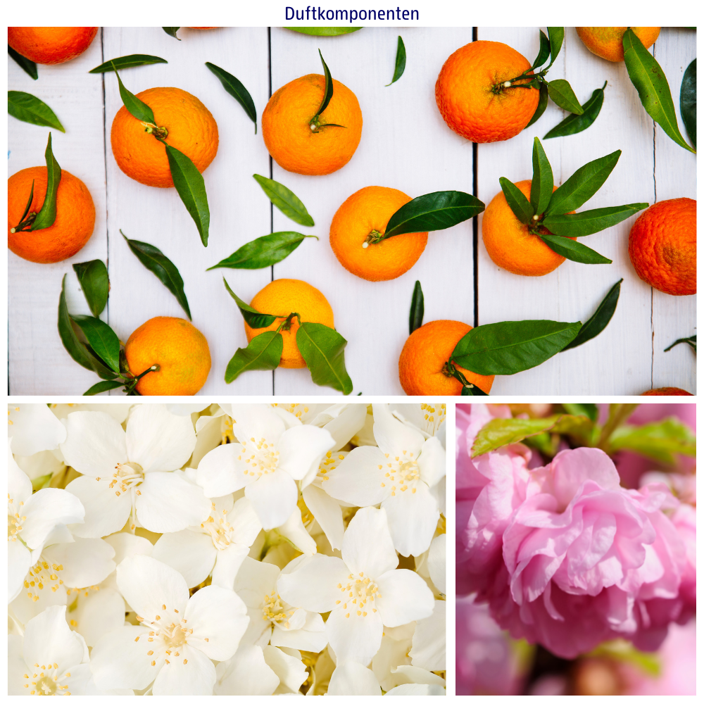 Abbildungen der Duftkomponenten: Jasmin, Mandarine und Mandelbluete