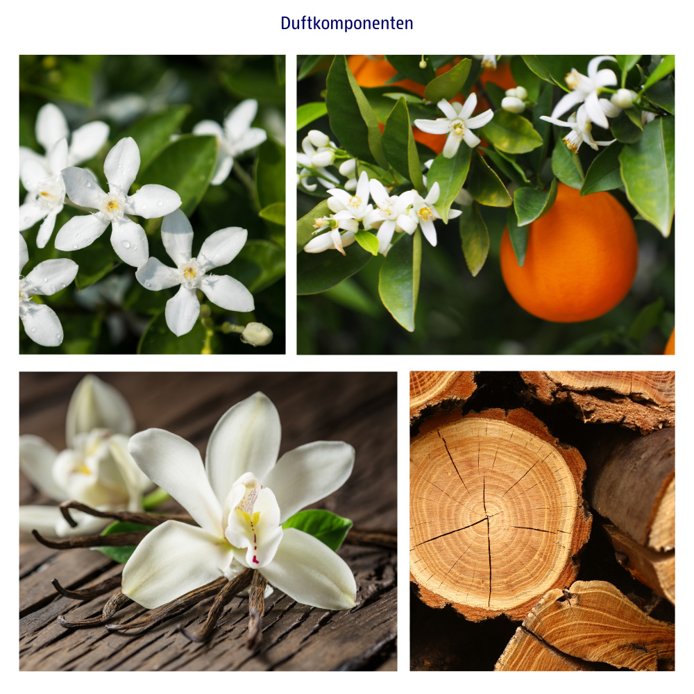 Abbildungen der Duftkomponenten: jasmin, Orangenbluete, Vanille und Sandelholz