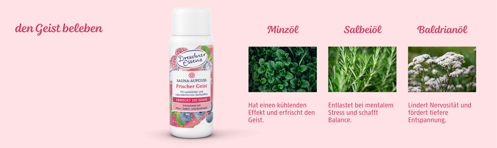 Produktteaser fuer den Sauna-Aufguss Frischer Geist Abbildung Sauna-Aufguss Frischer Geist mit Minz-, Salbei- und Baldrianoel, um den Geist zu beleben