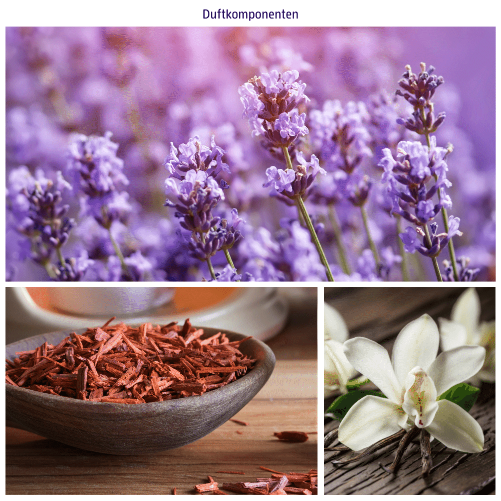 Abbildungen der Duftkomponenten: Sandelholz, Vanille und Lavendel