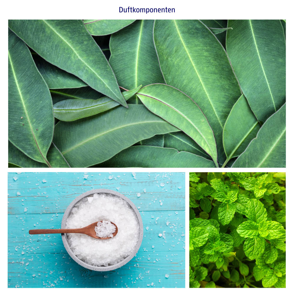 Abbildungen der Duftkomponenten: Meersalz, Eukalyptus & Menthol