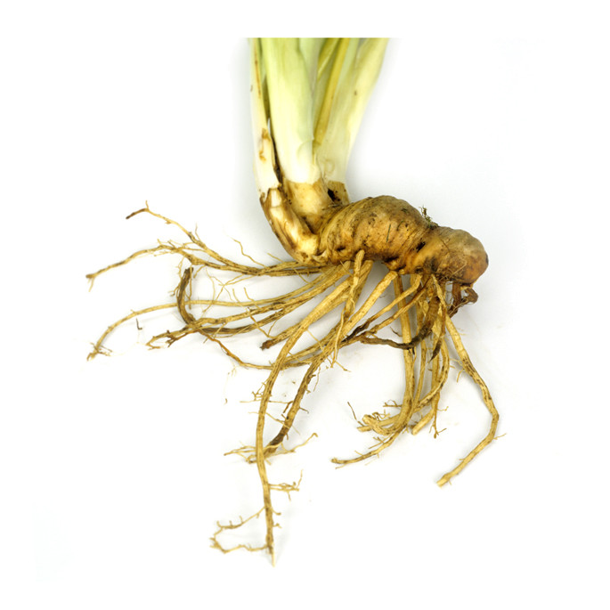 Organic iris root extract