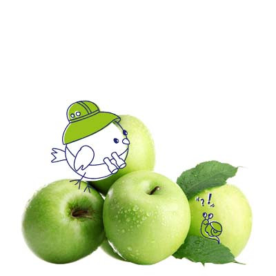 Dreckspatz Naturkosmetik mit Apfel-Duft